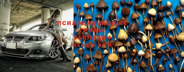 прущая мука Баксан